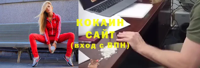 COCAIN Боливия  дарк нет какой сайт  Правдинск  купить  